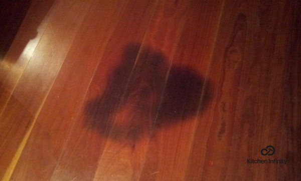 如何从硬木地板上清除黑色尿液污渍